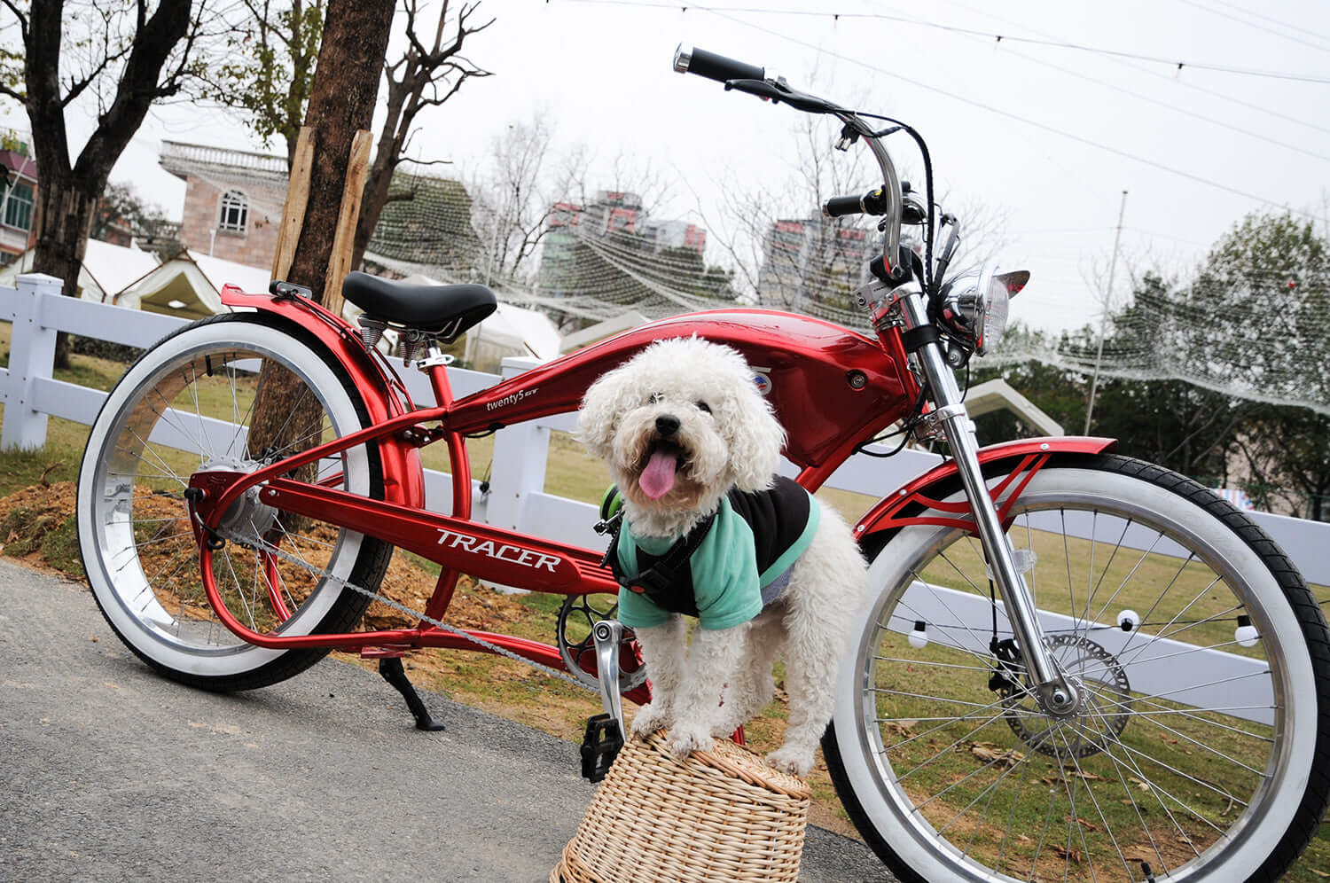 Top Rated Stylish Electric Cruiser Bikes 2024