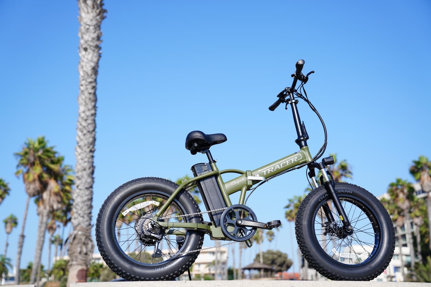 What Are the Pros and Cons of Folding E-Bikes? A Comprehensive Guide for You