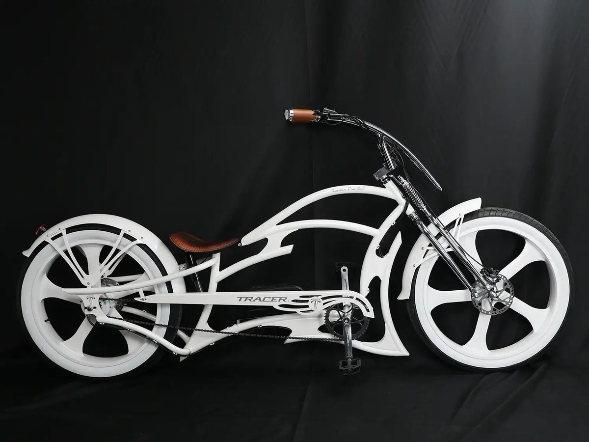 Raptor Rower Pro Raptor Pro DS 800W Stretch Cruiser Ebike | Tracer Bikes