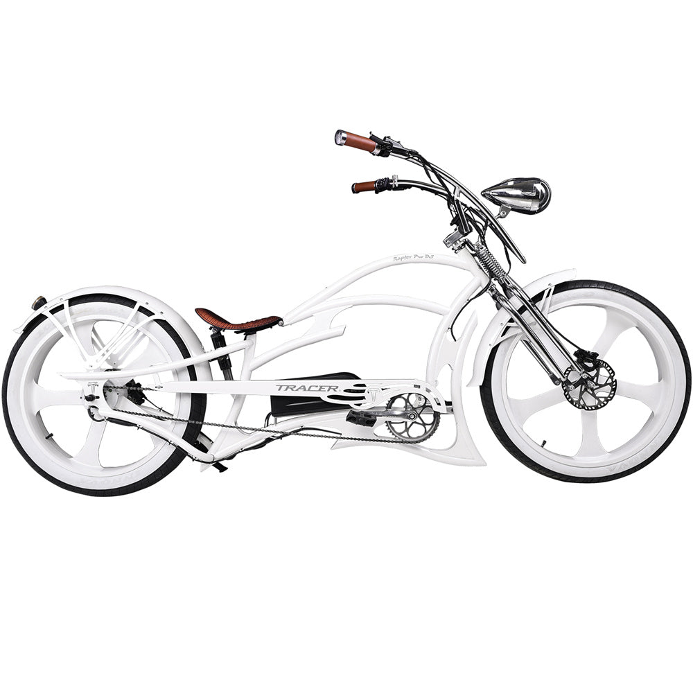 Full view of the Raptor Pro DS 800W Stretched Cruiser Ebike.